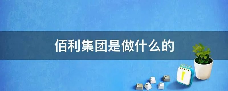 佰利集团是做什么的