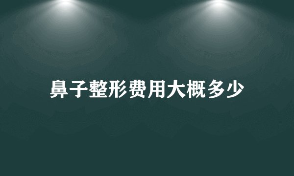 鼻子整形费用大概多少