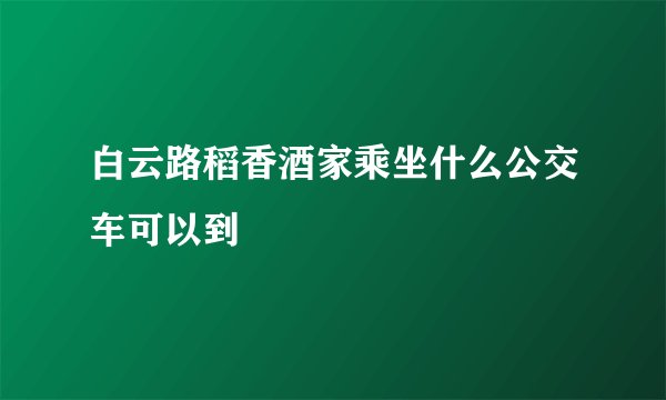 白云路稻香酒家乘坐什么公交车可以到