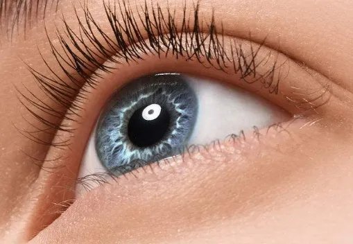 三点双眼皮一般多少钱