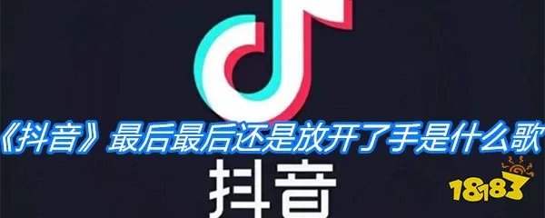 《抖音》最后最后还是放开了手是什么歌