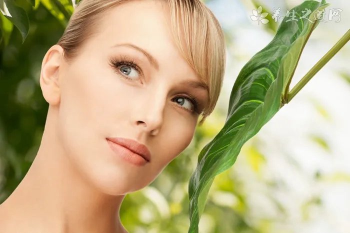 狗为什么会舔自己的爪