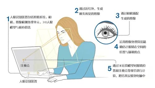 Tobii Eye-Tracking究竟是怎么一回事？