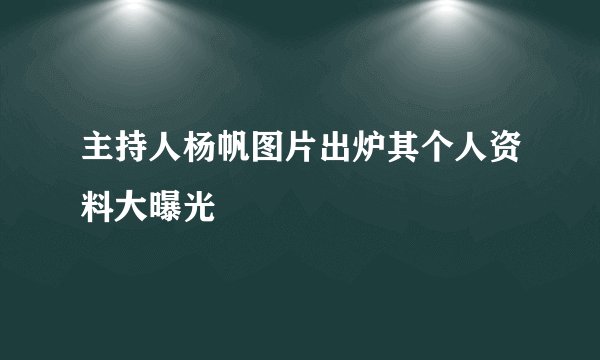主持人杨帆图片出炉其个人资料大曝光