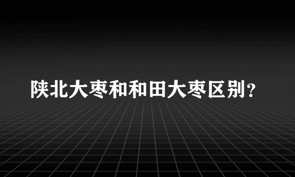 陕北大枣和和田大枣区别？
