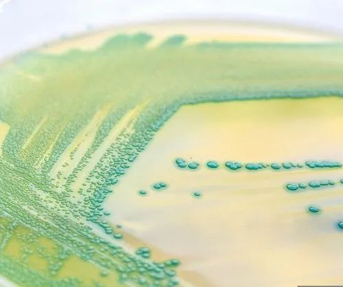 上海市三甲医院分布