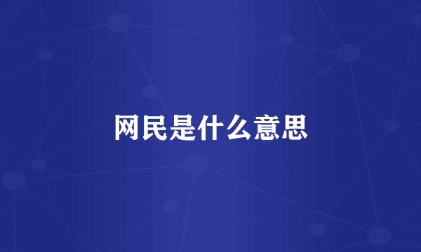 网民是什么意思