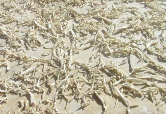 芥菜疙瘩的腌制方法。