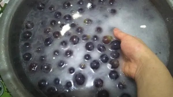 葡萄酒的制作方法 自酿