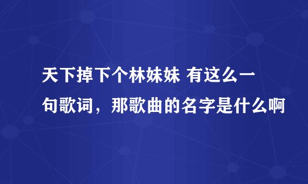 天下掉下个林妹妹 有这么一句歌词，那歌曲的名字是什么啊