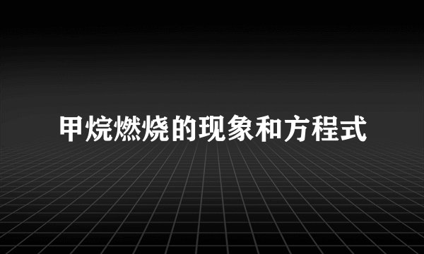 甲烷燃烧的现象和方程式