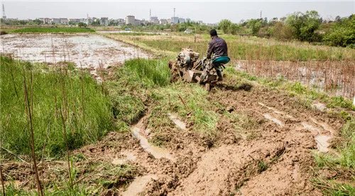 自留地是什么意思