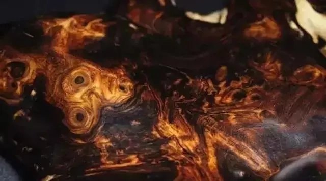 什么是真正的海黄？