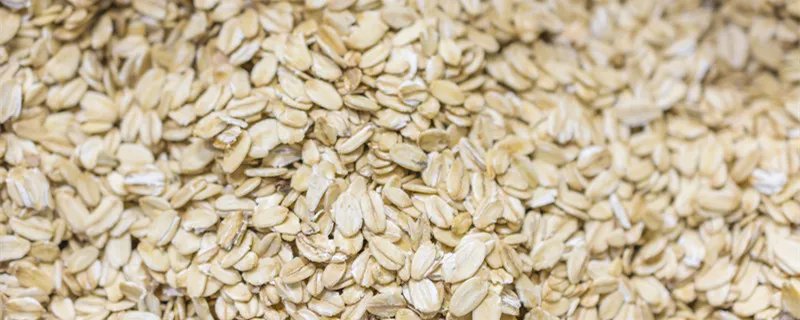 清宜是哪个国家的品牌 清宜是什么牌子