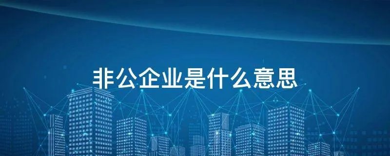 非公企业是什么意思