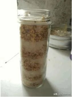 桂花蜜的制作方法？