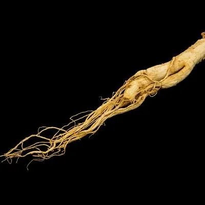 尿酸高的人吃什么食物好