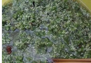 韭菜花腌制方法
