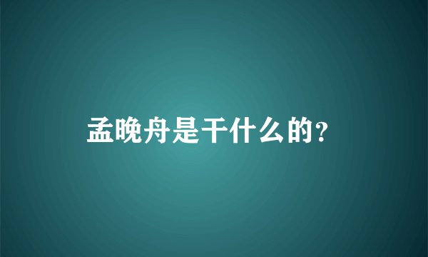 孟晚舟是干什么的？
