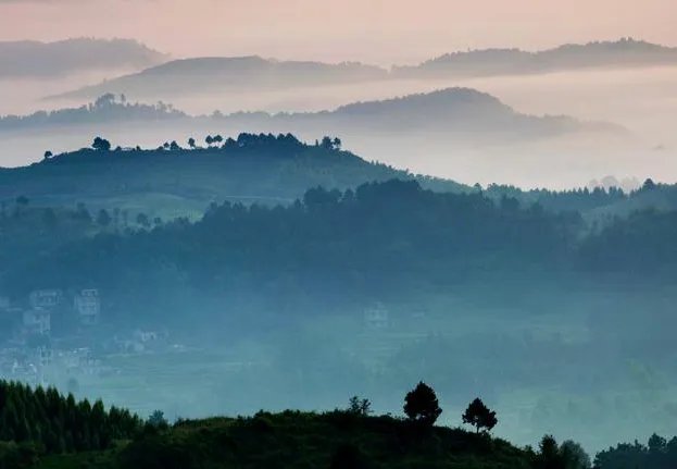 什么的山野？怎么填？