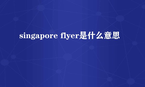 singapore flyer是什么意思