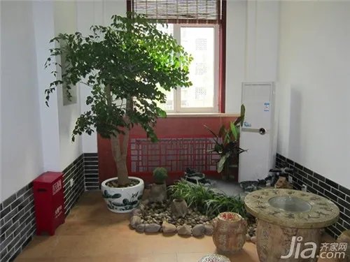 幸福树怎么养?幸福树的养殖方法和注意事项