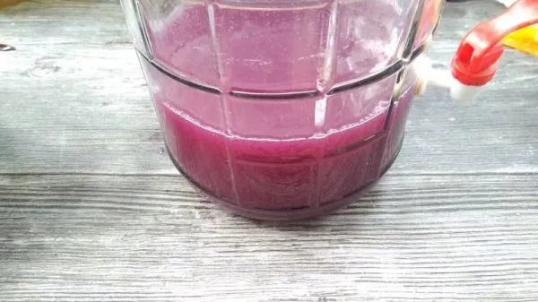 葡萄酒的制作方法 自酿