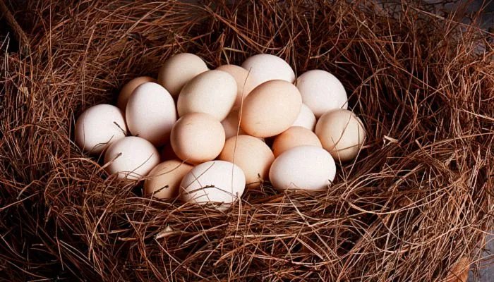 立夏为什么要吃鸡蛋呢 立夏吃鸡蛋代表寓意是什么