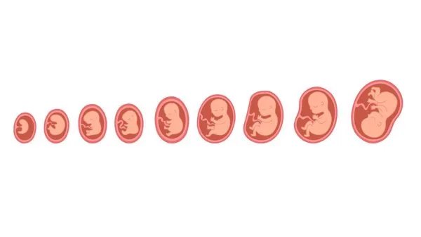 保定牡丹妇婴怎么样吗