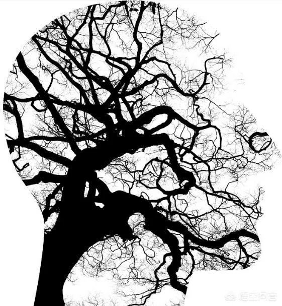 小学补课有必要么