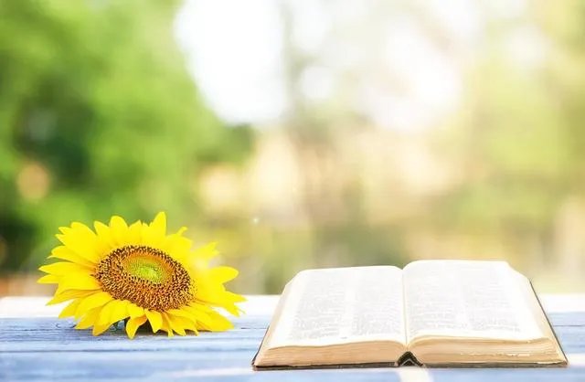 我曾经错过了一个很好很好的女孩，以后再也见不到了，该怎么办？