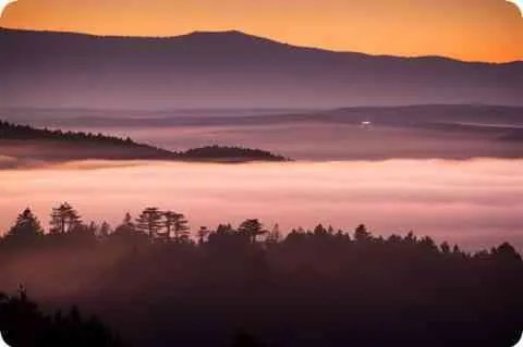 1937年，出任新四军军长的是谁