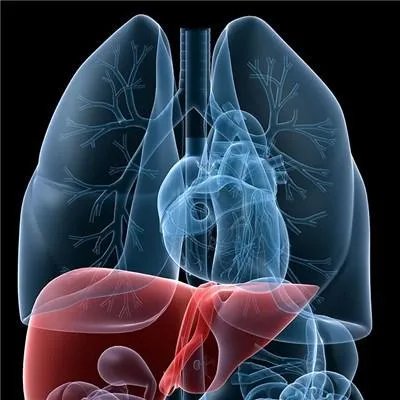 乙肝小三阳传染吗