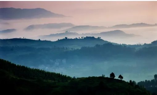 什么的山野？怎么填？