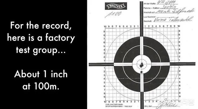 wa2000狙击步枪精度到底是什么水平?停产是否是因为性价比低？