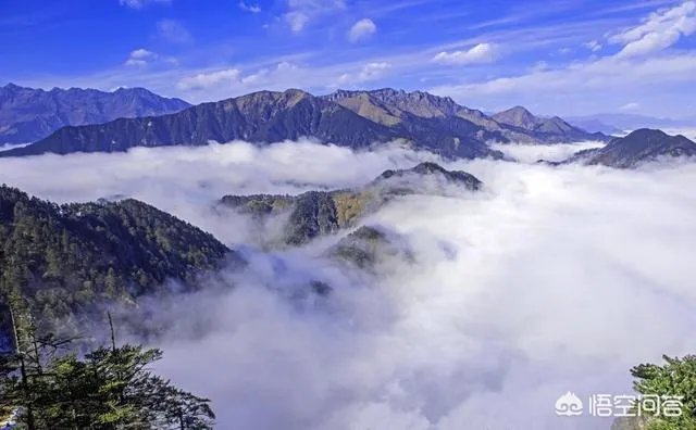西岭雪山有什么推荐的住宿吗？