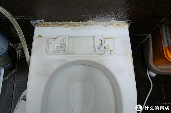 卫洗丽的日常清洁&保养（饭后慎点）