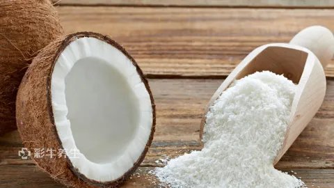 椰肉的功效与作用禁忌