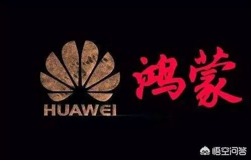 余承东微博发布最新EMUI9.1内测机型，但遭网友集体要求内测鸿蒙，你怎么看？