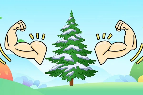 岁寒三友是指哪三个