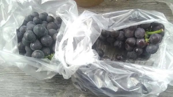 葡萄酒的制作方法 自酿