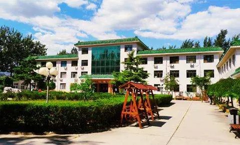 南京如何选一个好的宠物美容学校