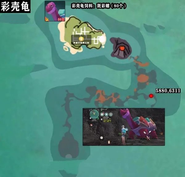 创造与魔法彩壳龟多久刷新一次