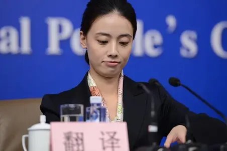 中文翻译成英文在线翻译