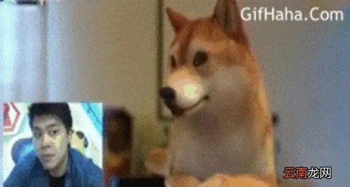 史上超级爆笑动态图 搞笑图片笑死人动态