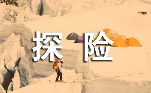 神奇的探险之旅优秀作文