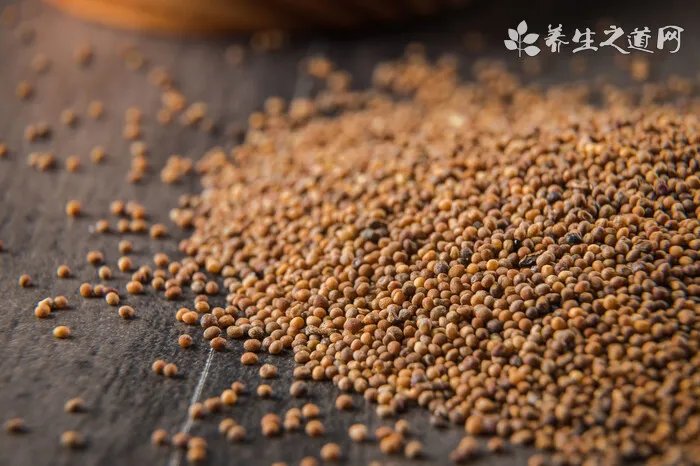 清明节为什么要插柳？清明节插柳枝的意义？