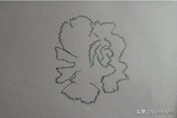 康乃馨怎么画？