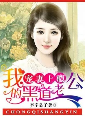 宠妻：六夫临门的介绍