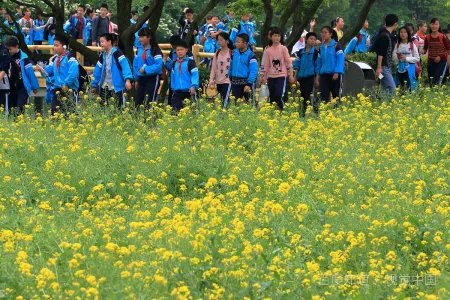 3月3日是什么节日